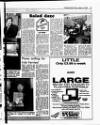 Evening Herald (Dublin) Friday 13 January 1989 Page 31