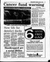 Evening Herald (Dublin) Wednesday 08 February 1989 Page 17