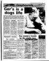Evening Herald (Dublin) Saturday 16 December 1989 Page 35
