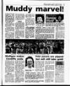 Evening Herald (Dublin) Thursday 18 January 1990 Page 47