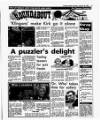 Evening Herald (Dublin) Saturday 20 January 1990 Page 23