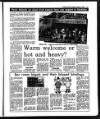 Evening Herald (Dublin) Monday 05 March 1990 Page 13