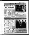 Evening Herald (Dublin) Saturday 17 March 1990 Page 37