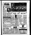 Evening Herald (Dublin) Thursday 12 April 1990 Page 31