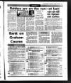 Evening Herald (Dublin) Wednesday 29 August 1990 Page 41