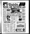 Evening Herald (Dublin) Wednesday 05 September 1990 Page 25