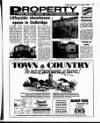 Evening Herald (Dublin) Friday 02 November 1990 Page 33