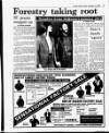 Evening Herald (Dublin) Friday 14 December 1990 Page 19