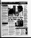 Evening Herald (Dublin) Friday 01 February 1991 Page 17