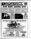 Evening Herald (Dublin) Friday 01 February 1991 Page 31