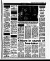 Evening Herald (Dublin) Wednesday 13 March 1991 Page 45
