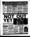 Evening Herald (Dublin) Tuesday 05 November 1991 Page 45