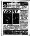 Evening Herald (Dublin) Tuesday 12 November 1991 Page 43