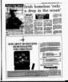 Evening Herald (Dublin) Thursday 12 December 1991 Page 21