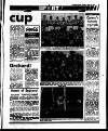Evening Herald (Dublin) Friday 12 June 1992 Page 67