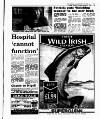 Evening Herald (Dublin) Thursday 25 June 1992 Page 21