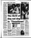 Evening Herald (Dublin) Thursday 02 July 1992 Page 32