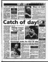 Evening Herald (Dublin) Tuesday 29 September 1992 Page 65