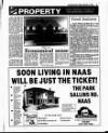 Evening Herald (Dublin) Friday 05 February 1993 Page 45
