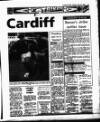 Evening Herald (Dublin) Tuesday 25 May 1993 Page 36