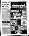 Evening Herald (Dublin) Wednesday 02 June 1993 Page 7