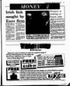 Evening Herald (Dublin) Wednesday 02 June 1993 Page 11