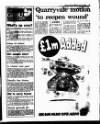 Evening Herald (Dublin) Friday 04 June 1993 Page 23