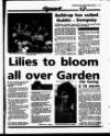 Evening Herald (Dublin) Friday 04 June 1993 Page 73