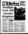 Evening Herald (Dublin) Monday 21 June 1993 Page 41