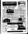 Evening Herald (Dublin) Friday 25 June 1993 Page 47