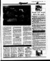 Evening Herald (Dublin) Monday 12 July 1993 Page 45