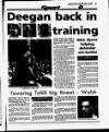 Evening Herald (Dublin) Tuesday 13 July 1993 Page 51