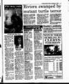 Evening Herald (Dublin) Friday 03 September 1993 Page 17