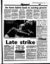 Evening Herald (Dublin) Monday 01 November 1993 Page 45