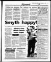 Evening Herald (Dublin) Wednesday 17 November 1993 Page 71