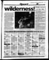 Evening Herald (Dublin) Thursday 18 November 1993 Page 83