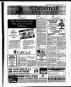 Evening Herald (Dublin) Thursday 09 December 1993 Page 41