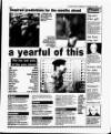 Evening Herald (Dublin) Wednesday 29 December 1993 Page 11