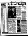 Evening Herald (Dublin) Wednesday 12 October 1994 Page 68