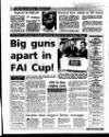 Evening Herald (Dublin) Saturday 07 January 1995 Page 45