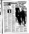 Evening Herald (Dublin) Wednesday 25 January 1995 Page 25