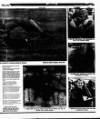 Evening Herald (Dublin) Tuesday 31 January 1995 Page 25