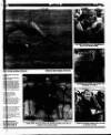 Evening Herald (Dublin) Tuesday 31 January 1995 Page 43