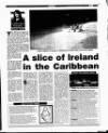 Evening Herald (Dublin) Tuesday 28 March 1995 Page 25