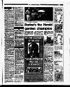 Evening Herald (Dublin) Saturday 15 July 1995 Page 45