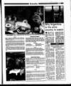 Evening Herald (Dublin) Friday 03 November 1995 Page 29