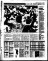 Evening Herald (Dublin) Wednesday 12 June 2002 Page 81