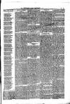 Consett Guardian Saturday 20 March 1875 Page 3