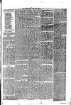 Consett Guardian Saturday 03 April 1875 Page 3