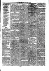 Consett Guardian Saturday 19 June 1875 Page 3